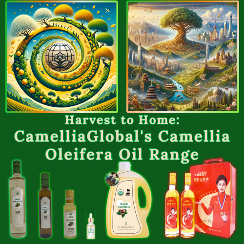 A vibrant array of CamelliaGlobal's Camellia Oleifera oil products, from small droppers to large bulk containers, illustrating the range available for different needs.